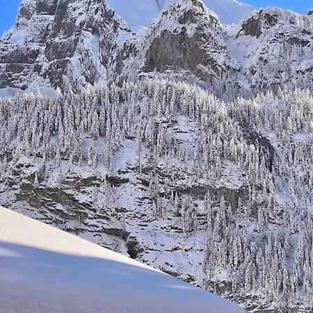 Peacefull Mountains View Kandersteg
