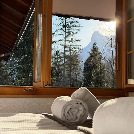 Peacefull Mountains View Apartament Kandersteg