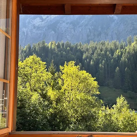 Peacefull Mountains View Apartament