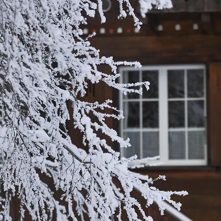 Peacefull Mountains View