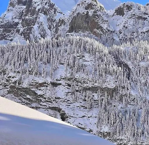 Peacefull Mountains View Кандерштег