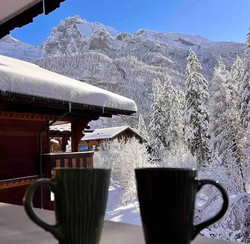 Peacefull Mountains View Lejlighed