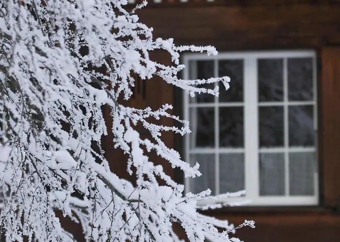 Peacefull Mountains View